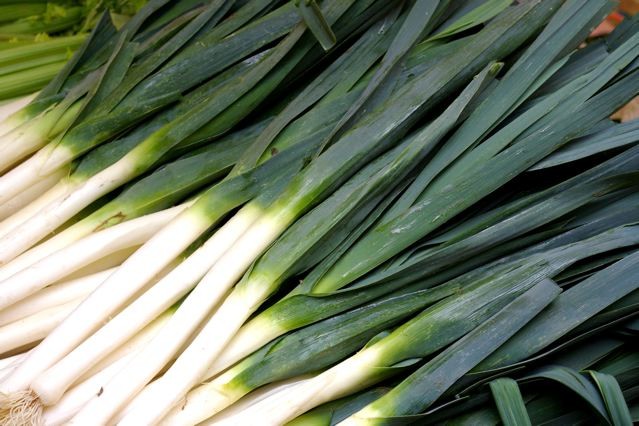 Young Leek Salad / Salade de Jeunes Poireaux