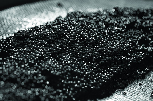 Made in France: Caviar d’Aquitaine - France Today