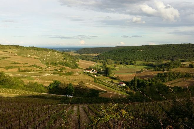 The 4 Best Picnic Spots in Burgundy - France Today