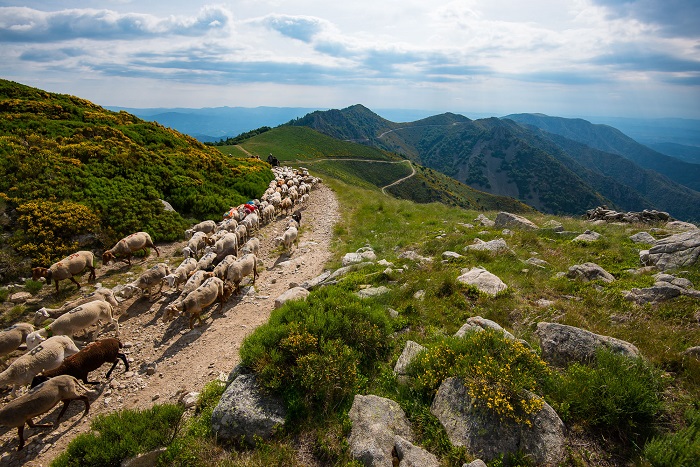 Why Not Take a Green Break in the Cévennes D’ardèche!