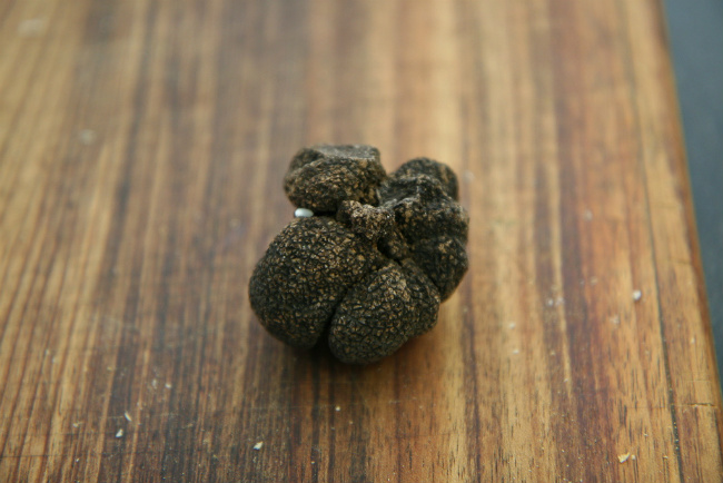 A Quest for “Black Diamonds” at Lalbenque Truffle Market in Quercy
