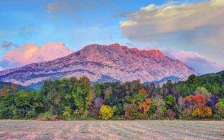 Surviving Provence: Food for Thought (and the Wine to Go With It)