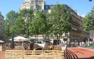 Holiday Weekend in Paris