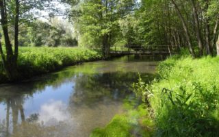Fly Fishing in Normandy