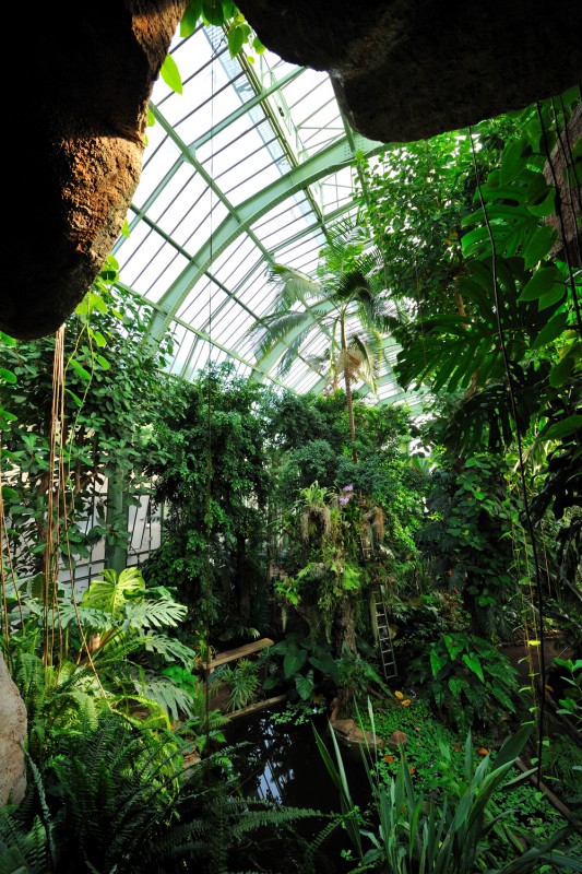 The Jardin des Plantes: Flora