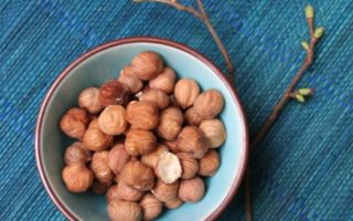 Hazelnut Harvest