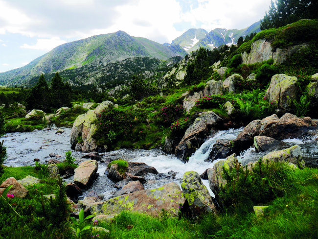 Into the Wild: A Hiking Adventure in the Pyrénées