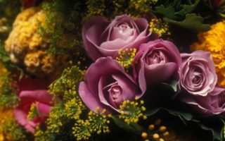 Say It With Flowers