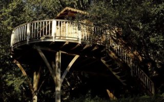 Saint-Paul-de-Vence: Orion, Treehouse B&B
