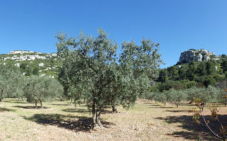 Exclusive Excerpt: “Are We French Yet? Keith & Val’s Adventures in Provence”
