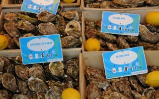 The World Is Your Oyster
