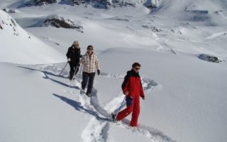 Strap On Your Snowshoes