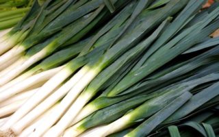 Young Leek Salad / <i>Salade de Jeunes Poireaux</i>