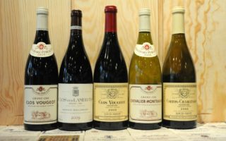 Burgundy: 2008 vs 2009