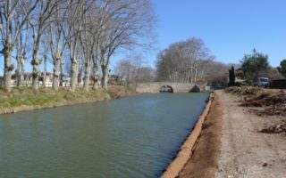 Canal du Midi: Trees in Trouble
