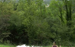 Summer in the Vercors