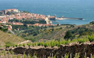 Revelation in Roussillon