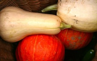 Kuri Squash Pur&eacute;e with Roquefort (<i>Pur&eacute;e de Potimarron au Roquefort</i>)