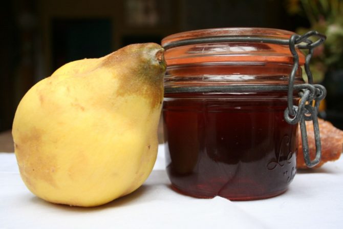 Quince Jelly / <i>Gelee de Coings</i>