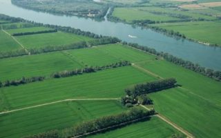 Gourmet Travels in the Camargue
