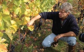 Swiss Wines