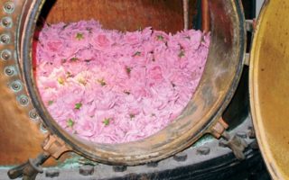 It makes scents: Grasse