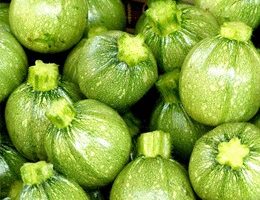 Gratin de courgettes / Zucchini Gratin
