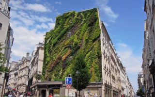 Eco-Chic: Patrick Blanc’s New Living Wall in Paris