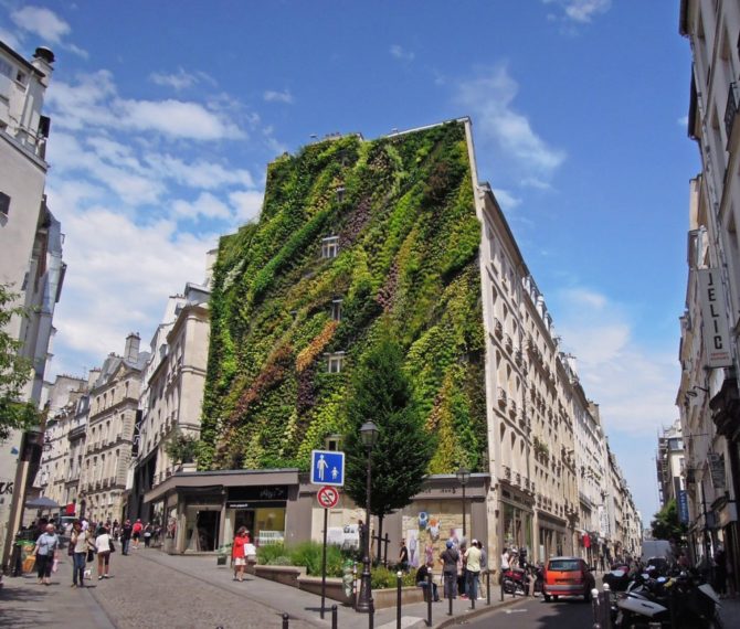 Eco-Chic: Patrick Blanc’s New Living Wall in Paris