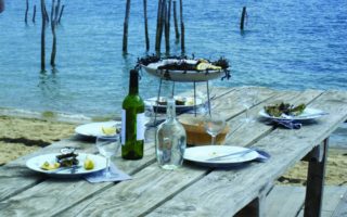 Sun, Sea, Sand & Oysters