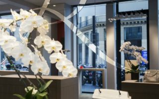 Haute Handbags by Renaud Pellegrino