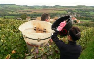 Dispatch from Burgundy: The Real Challenges of 2013
