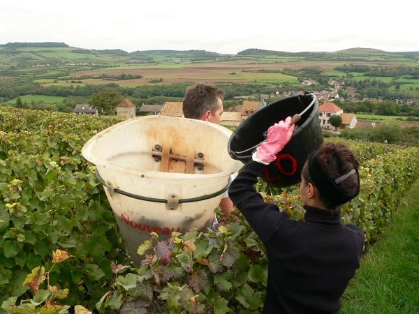 Dispatch from Burgundy: The Real Challenges of 2013