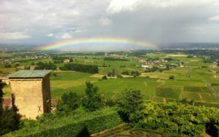 It’s Beaujolais Nouveau Day in France!