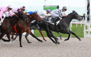 Americans Head to the Hippodrome