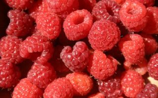 Coulis aux framboises