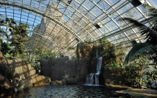 Parc Zoologique de Paris: A New Species of Zoo