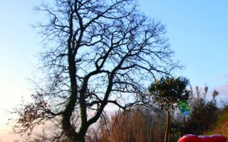 Le Dernier Mot: Se Ressourcer