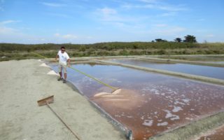 White Gold: Sea Salt from the &Icirc;le de R&eacute;