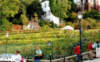 Fall in Paris: Grape Harvest Festival in Montmartre