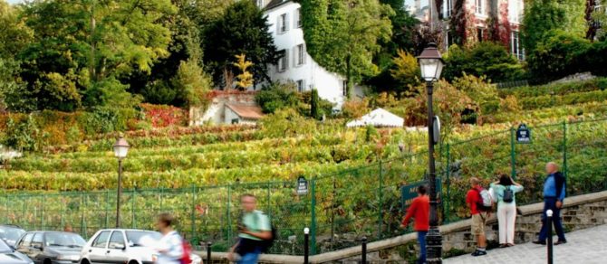 Fall in Paris: Grape Harvest Festival in Montmartre