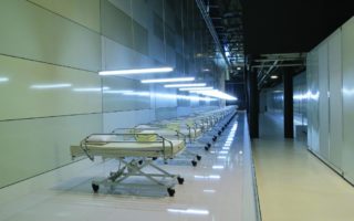 Fall Exhibitions in Paris: Robotic Art at the Cit&eacute; des Sciences