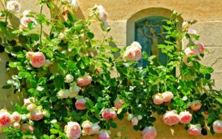 Favourite Hotels: Manoir de la Malartrie in the Dordogne