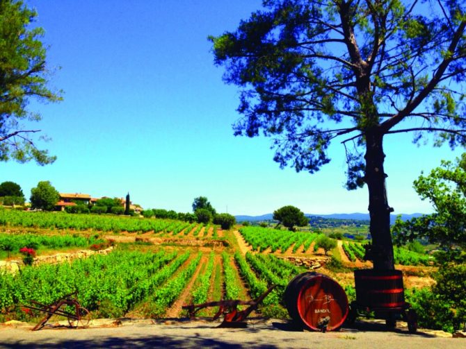 Bandol’s Wines: Provence’s True Star