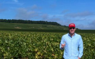 Picking Grapes in Champagne