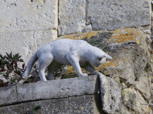The Cats of La Romieu, A Medieval Village in Southwest France