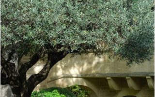 Castillon du Gard: Le Vieux Castillon