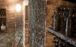 Drink Wine from your Very Own Vineyard in France