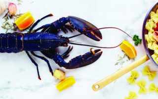 Le Duc: An Excellent Seafood Restaurant in Paris