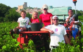 Mas des Brun: A Dream-Come-True Vineyard in Bandol